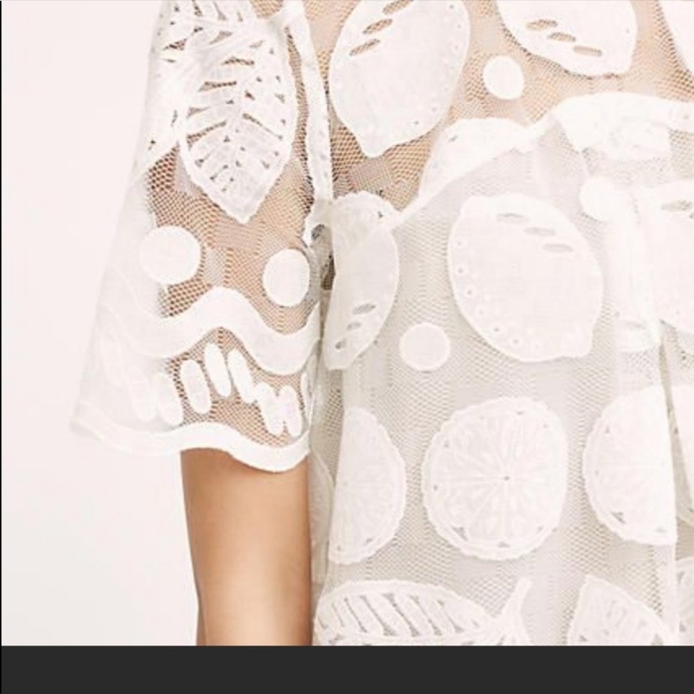 Anthropologie HD in Paris Lemon Lace Top - Picture 4 of 8